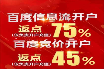 百度推广成功案例分析